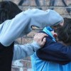 Bullismo: sedicenne picchiato e umiliato a scuola a Bologna, la famiglia denuncia