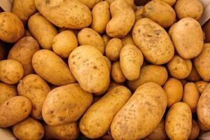 Allarme Fipronil, trovato anche nelle patate. In Francia trovate tracce anche nella pasta