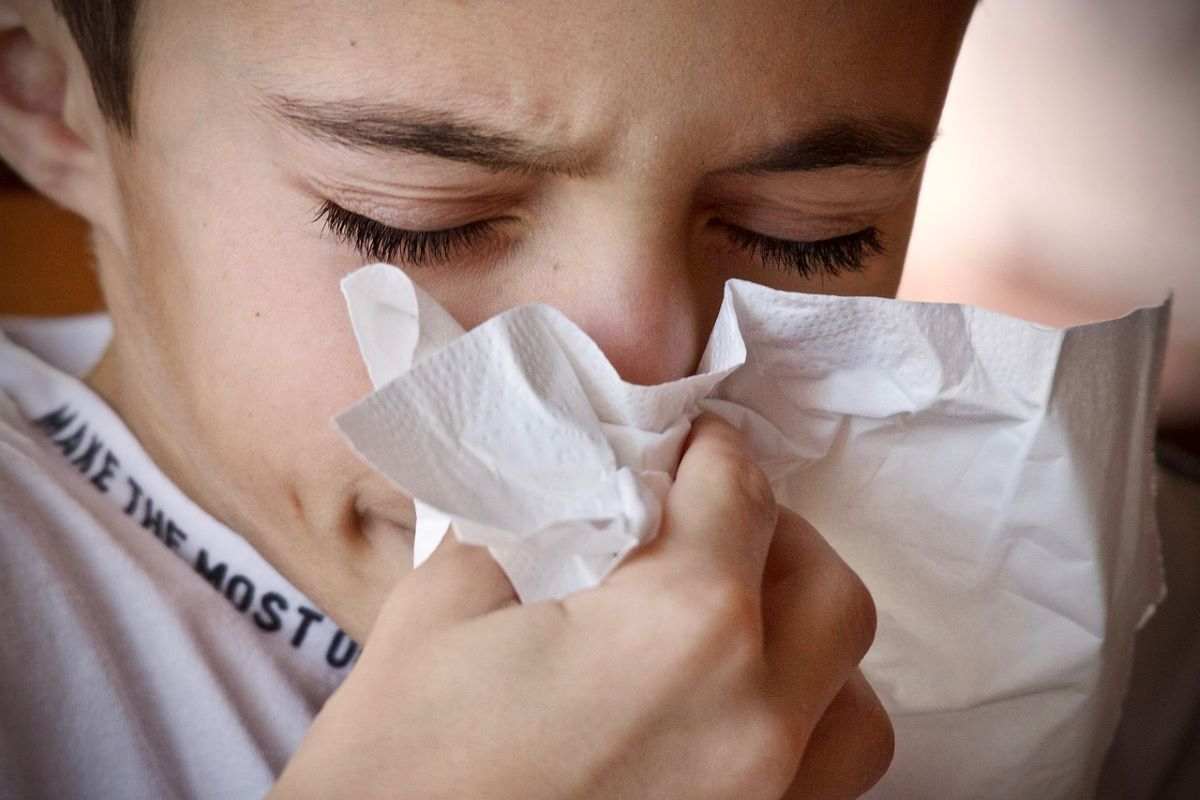 allergie stagionali medici lanciano allarme